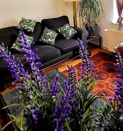 Bright Studio Close To Zaventem Airport Bruxelas Exterior foto